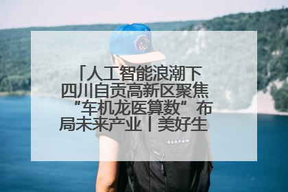 人工智能浪潮下 四川自贡高新区聚焦“车机龙医算数”布局未来产业丨美好生活有“盐”味