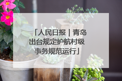 人民日报｜青岛出台规定护航村级事务规范运行