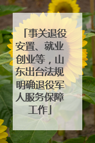 事关退役安置、就业创业等，山东出台法规明确退役军人服务保障工作