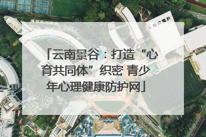 云南景谷：打造“心育共同体”织密 青少年心理健康防护网