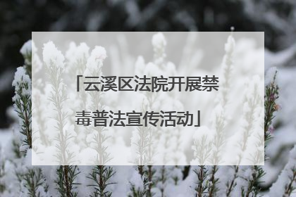 云溪区法院开展禁毒普法宣传活动