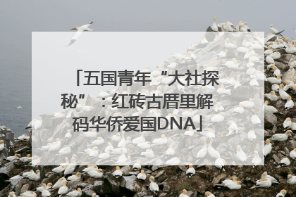 五国青年“大社探秘”：红砖古厝里解码华侨爱国DNA