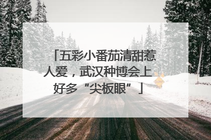五彩小番茄清甜惹人爱，武汉种博会上好多“尖板眼”