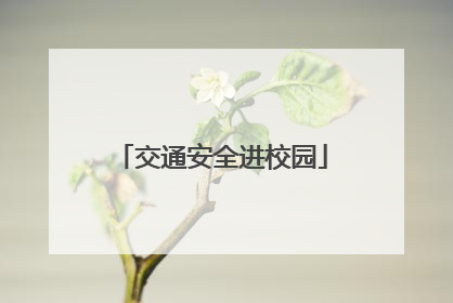 交通安全进校园