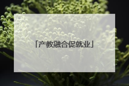 产教融合促就业