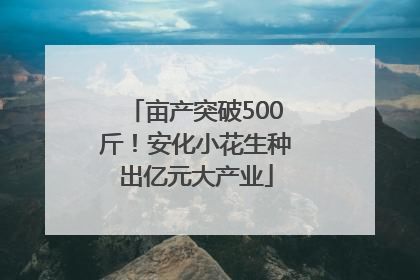亩产突破500斤！安化小花生种出亿元大产业