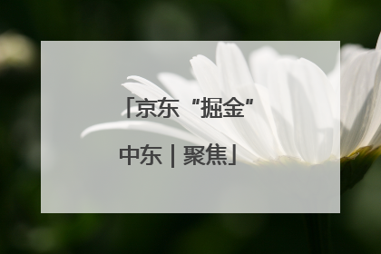 京东“掘金”中东｜聚焦