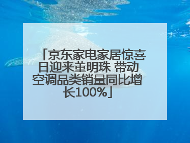 京东家电家居惊喜日迎来董明珠 带动空调品类销量同比增长100%