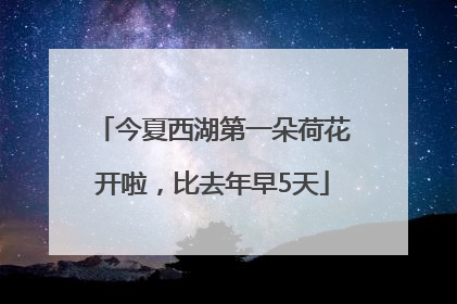 今夏西湖第一朵荷花开啦，比去年早5天