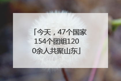 今天，47个国家154个团组1200余人共聚山东