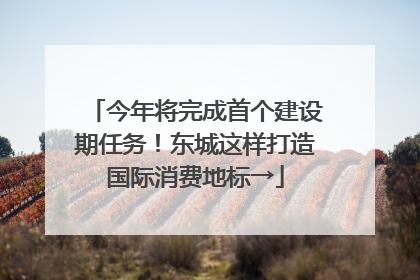 今年将完成首个建设期任务！东城这样打造国际消费地标→