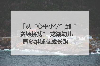 从“心中小学”到“赛场拼搏” 龙湖幼儿园多维铺就成长路