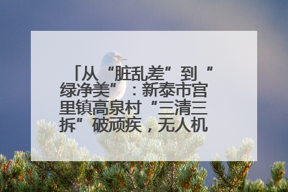 从“脏乱差”到“绿净美”：新泰市宫里镇高泉村“三清三拆”破顽疾，无人机“天眼”护新颜