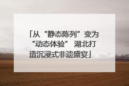 从“静态陈列”变为“动态体验” 湖北打造沉浸式非遗盛宴
