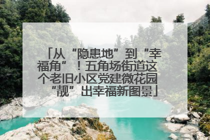 从“隐患地”到“幸福角”！五角场街道这个老旧小区党建微花园“靓”出幸福新图景