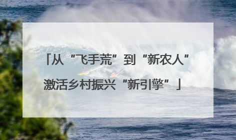 从“飞手荒”到“新农人” 激活乡村振兴“新引擎”