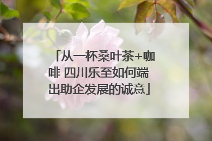 从一杯桑叶茶+咖啡 四川乐至如何端出助企发展的诚意