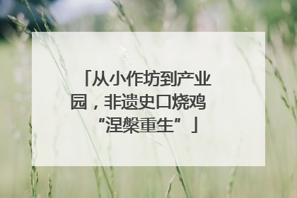 从小作坊到产业园，非遗史口烧鸡“涅槃重生”