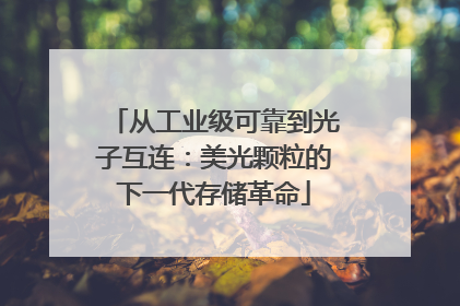 从工业级可靠到光子互连：美光颗粒的下一代存储革命