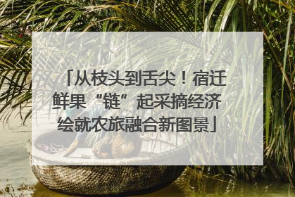 从枝头到舌尖！宿迁鲜果“链”起采摘经济绘就农旅融合新图景