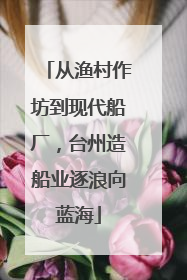 从渔村作坊到现代船厂，台州造船业逐浪向蓝海