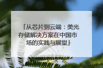 从芯片到云端：美光存储解决方案在中国市场的实践与展望
