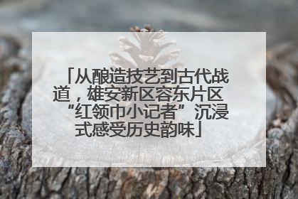 从酿造技艺到古代战道，雄安新区容东片区“红领巾小记者”沉浸式感受历史韵味