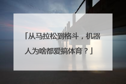 从马拉松到格斗，机器人为啥都爱搞体育？