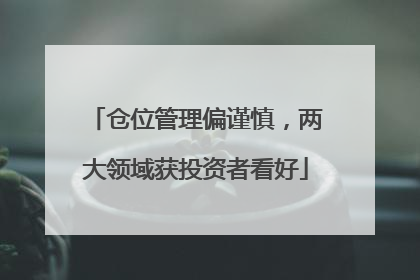仓位管理偏谨慎，两大领域获投资者看好