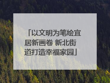 以文明为笔绘宜居新画卷 新北街道打造幸福家园