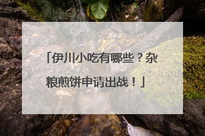 伊川小吃有哪些？杂粮煎饼申请出战！