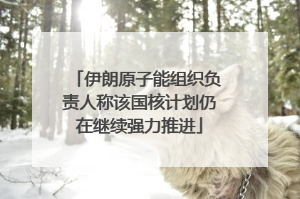 伊朗原子能组织负责人称该国核计划仍在继续强力推进