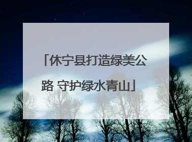 休宁县打造绿美公路 守护绿水青山