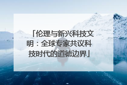 伦理与新兴科技文明：全球专家共议科技时代的道德边界