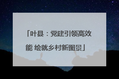 叶县：党建引领高效能 绘就乡村新图景