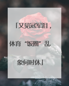又见冠军泪，体育“饭圈”乱象何时休
