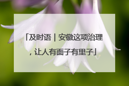 及时语｜安徽这项治理，让人有面子有里子