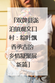 双牌县泷泊镇观文口村：粽叶飘香承古韵 乡情凝聚展新篇