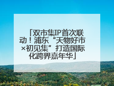 双市集IP首次联动！浦东“天物好市×初见集”打造国际化跨界嘉年华