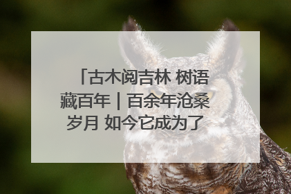 古木阅吉林 树语藏百年｜百余年沧桑岁月 如今它成为了“镇园之宝”