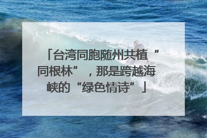 台湾同胞随州共植“同根林”，那是跨越海峡的“绿色情诗”
