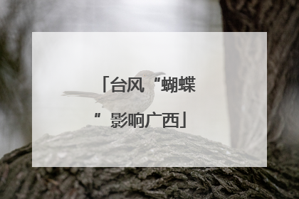 台风“蝴蝶”影响广西