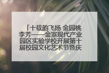 十载韵飞扬 金园桃李芳——金寨现代产业园区实验学校开展第十届校园文化艺术节暨庆“六一”系列活动