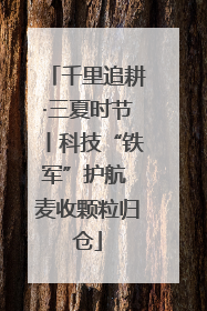 千里追耕·三夏时节丨科技“铁军”护航 麦收颗粒归仓