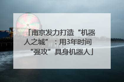 南京发力打造“机器人之城”：用3年时间“强攻”具身机器人