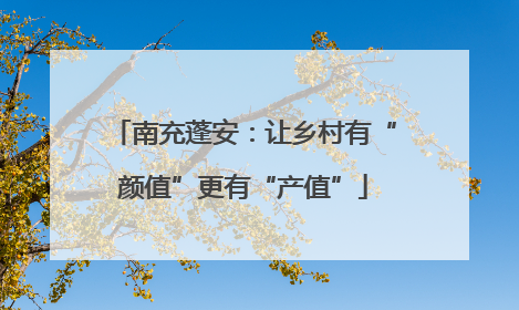 南充蓬安:让乡村有“颜值”更有“产值”