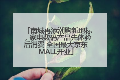 南城再添潮购新地标，家电数码产品先体验后消费 全国最大京东MALL开业