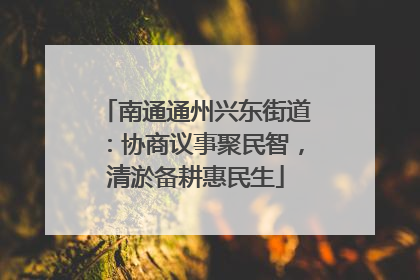 南通通州兴东街道：协商议事聚民智，清淤备耕惠民生