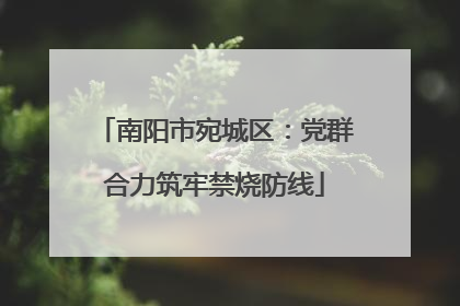 南阳市宛城区：党群合力筑牢禁烧防线