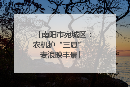 南阳市宛城区：农机护“三夏” 麦浪映丰景